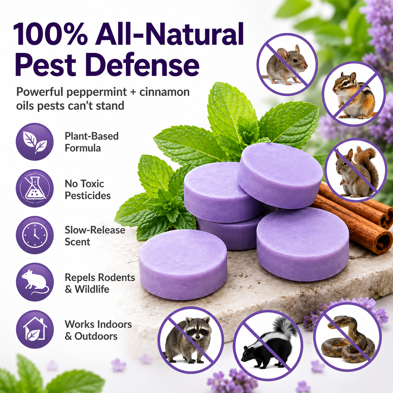 ✅ 10,000+ Happy Customers 🐭 All-Natural Peppermint & Cinnamon Pest & Rodent Repellent Pucks 🕷