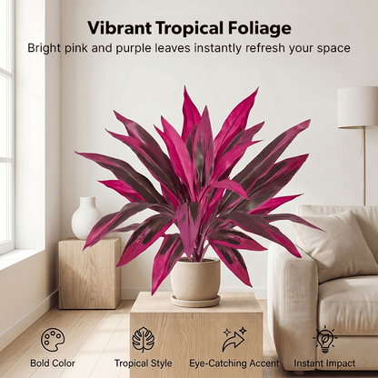 🎁 Mother's Day 60% OFF - Artificial Boston Fern & Dragon's Blood Tree Plants